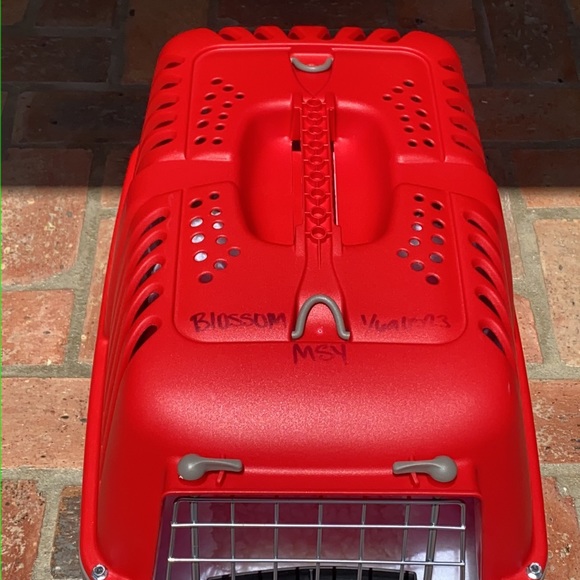 🐾Clean Small Pet Carrier, IATA Approved, Kit Included (Used 1x to transfer pet) - Picture 2 of 13